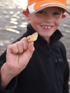 Seth found a pretty shell